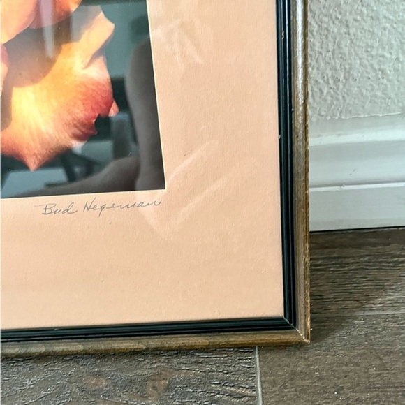 Framed Peach Rose Photograph By Bud Hereman Wall Art Decor 12/13 Inch - Picture 3 of 14